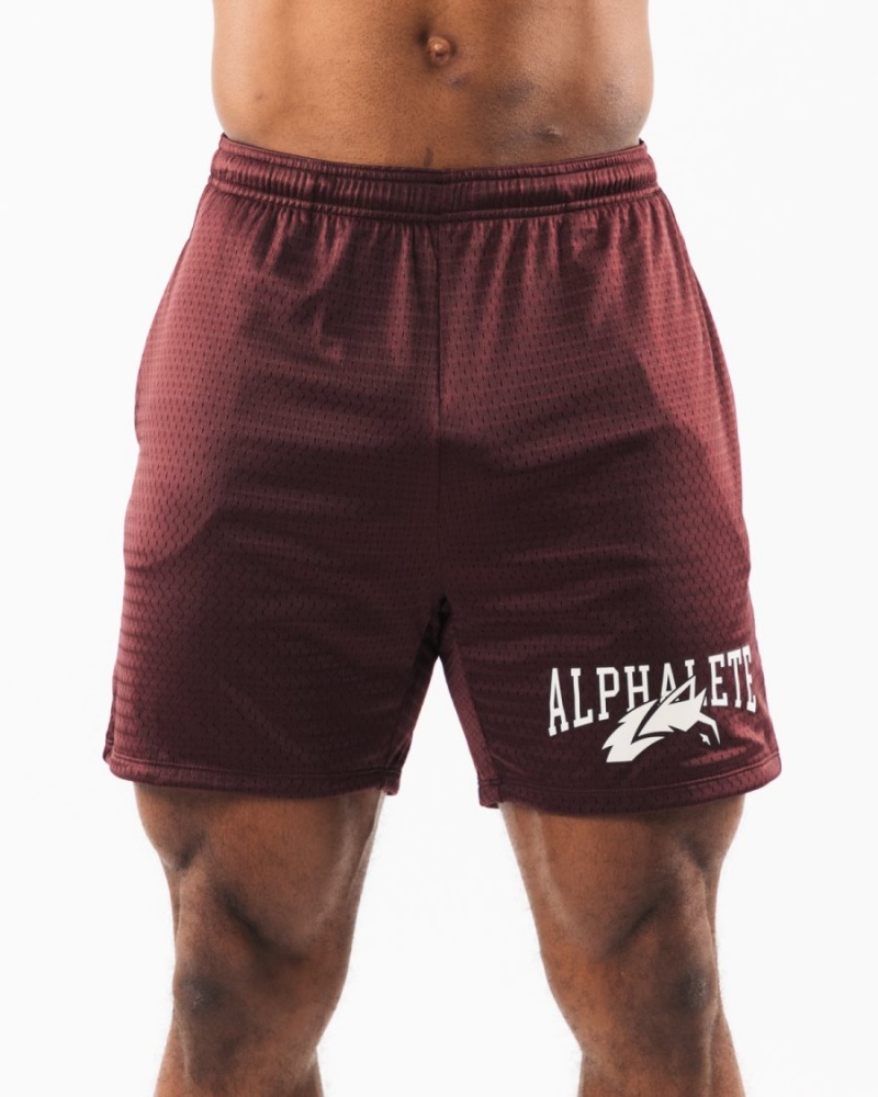 Short Alphalete Wolf Head Mesh Corta 6" Sangria Homme | IUR-14437331