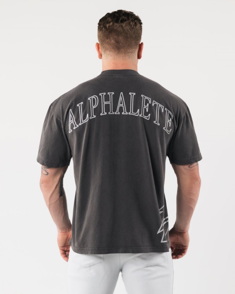 Chemises Alphalete Giant Wolf Head Tee Noir Homme | IKF-26382677