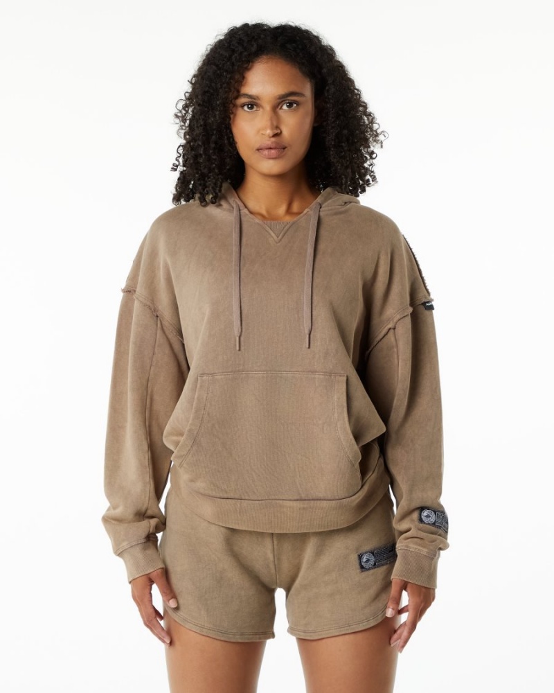 Sweat a Capuche Alphalete Very Terry Hoodie Smokey Quartz Femme | MPP-87801786