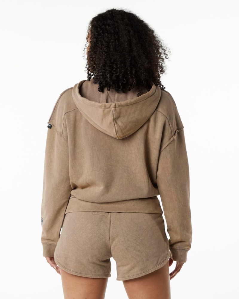 Sweat a Capuche Alphalete Very Terry Hoodie Smokey Quartz Femme | MPP-87801786