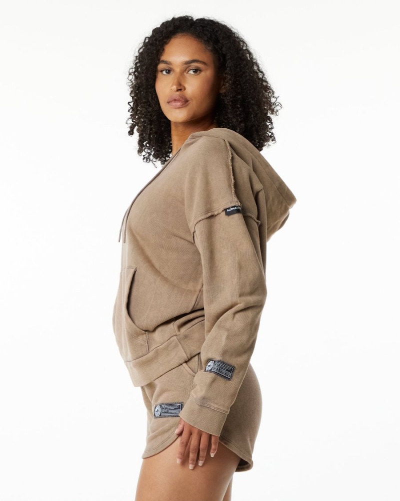 Sweat a Capuche Alphalete Very Terry Hoodie Smokey Quartz Femme | MPP-87801786