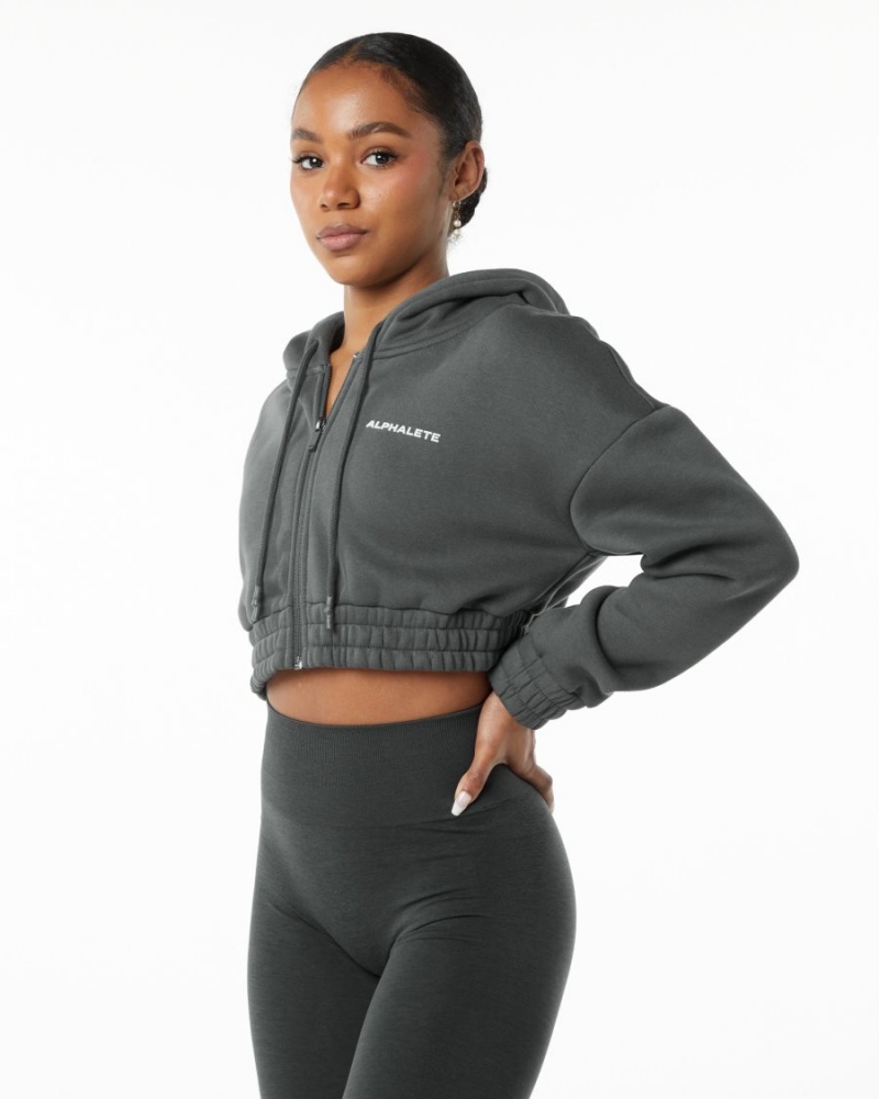 Vestes Alphalete Classiche Capital Full-Zip Crop Jacket Smoke Femme | OWF-48410841