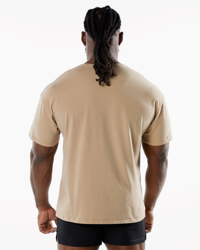 Chemises Alphalete Emblem Tee Taupe Homme | DHM-51104869