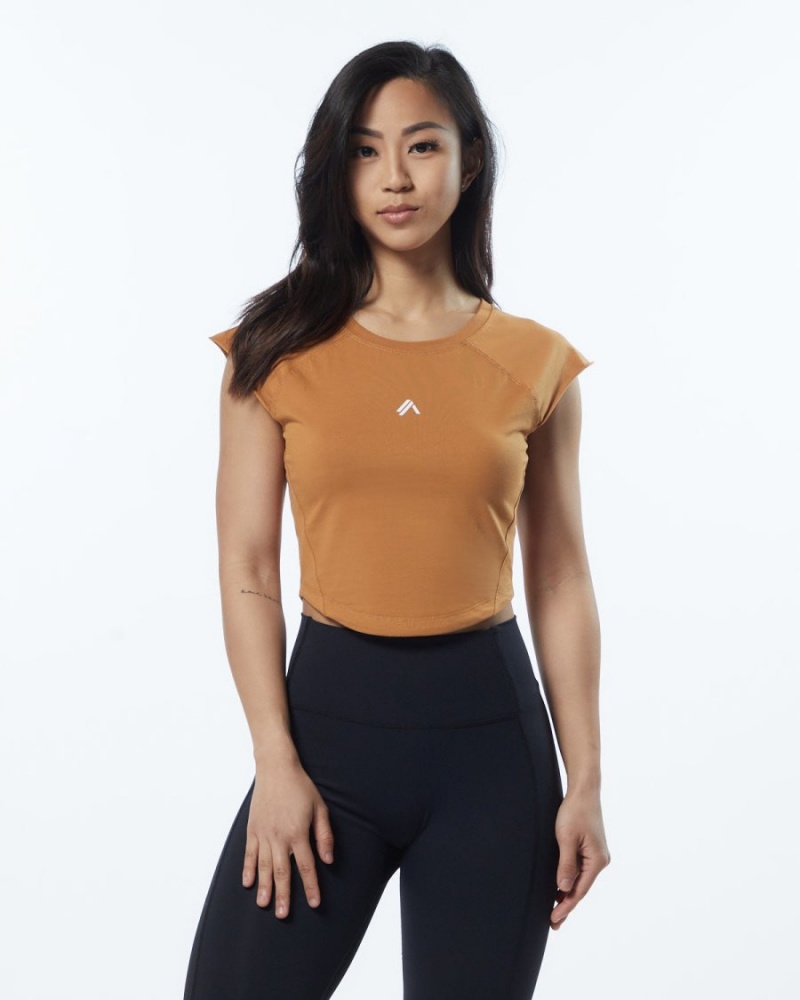 Chemises Alphalete Velocity Crop Tee Chestnut Femme | GWG-77007231