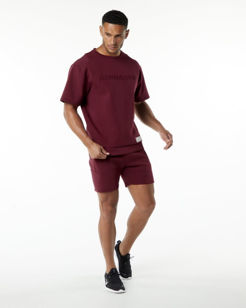 Short Alphalete ELMTS Athlétiques Corta 6" Bordeaux Homme | ABM-67325100