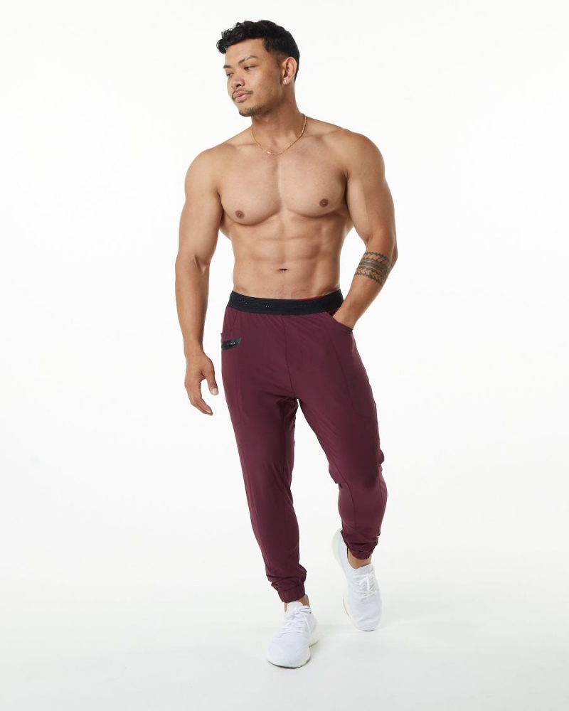 Pantalon Jogging Alphalete Studio Pant Bordeaux Homme | MQY-80562859