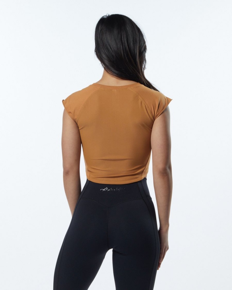 Chemises Alphalete Velocity Crop Tee Chestnut Femme | GWG-77007231