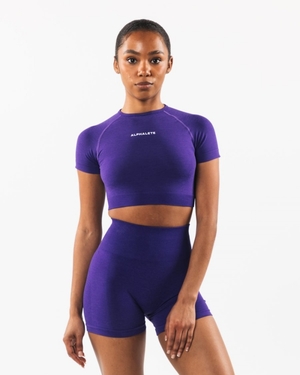 Chemises Alphalete Amplify SS Crop Violette Femme | ZIY-12395461