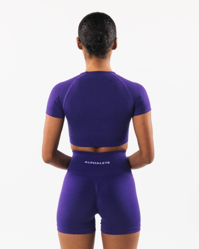 Chemises Alphalete Amplify SS Crop Violette Femme | ZIY-12395461