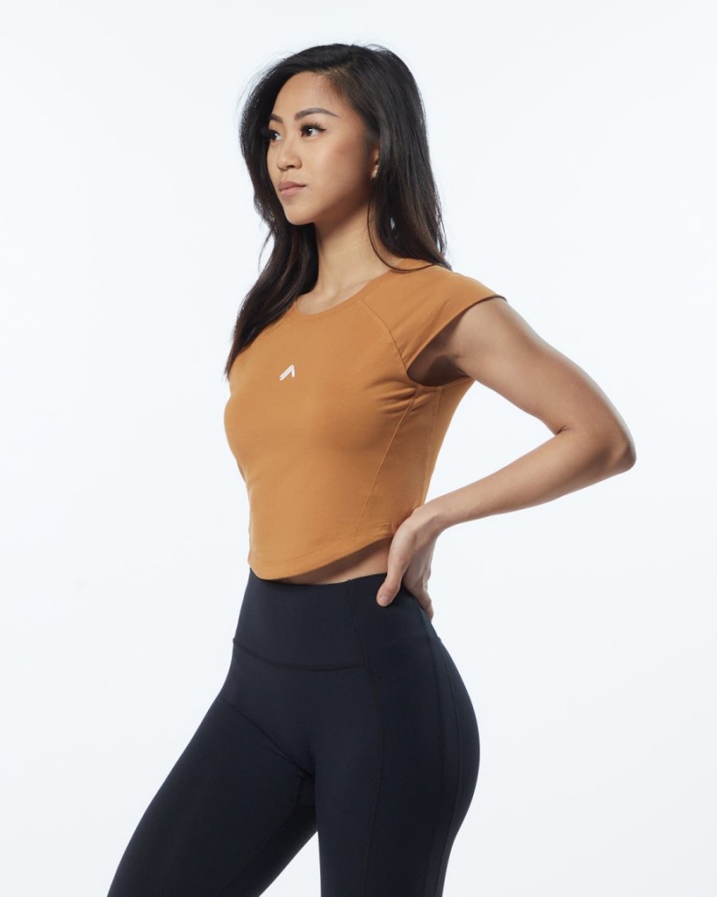 Chemises Alphalete Velocity Crop Tee Chestnut Femme | GWG-77007231