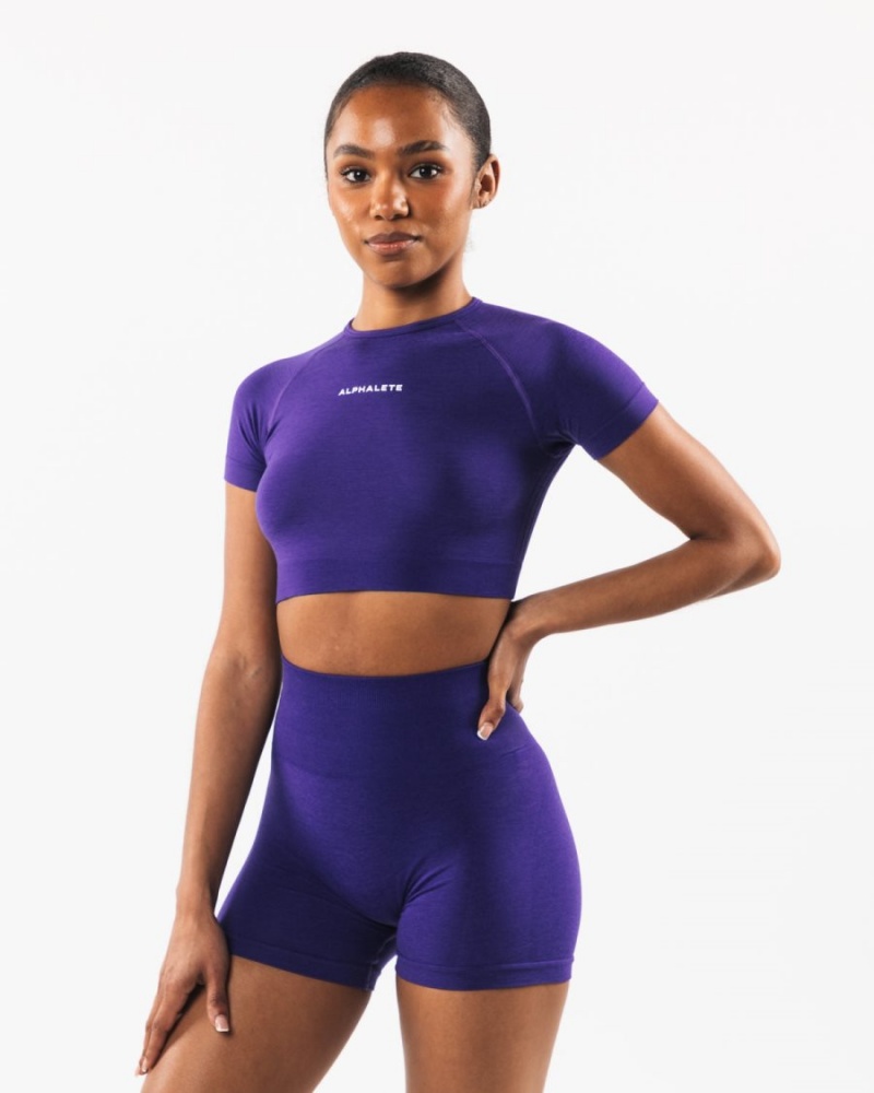 Chemises Alphalete Amplify SS Crop Violette Femme | ZIY-12395461